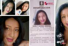 ¿Dónde está Narly Gómez?
