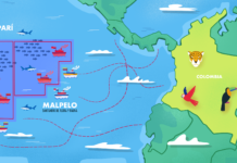 Colombia: refugio de tiburones. Yuruparí – Malpelo en peligro por pesca ilegal