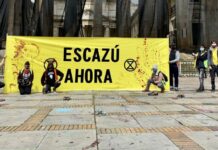 “Jamás había ocurrido que un partido de gobierno se opusiera a una propuesta del gobierno como con el Acuerdo de Escazú en Colombia”: Vanessa Torres | ENTREVISTA