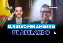 ¿Ligero y poco riguroso? El nuevo Min Ambiente de Abelardo