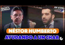 El salvavidas de Néstor Humberto Martínez a Arturo Char