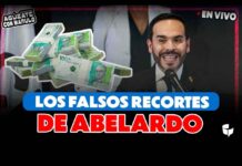 Abelardo no conoce el Estado: los anuncios cosméticos de recortar el gasto