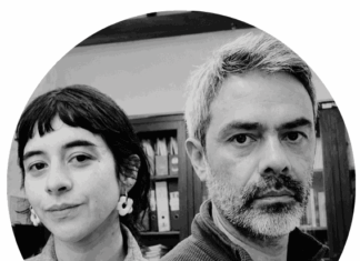 El Acuerdo de Paz con las FARC y la Paz Total: transiciones sin resolución