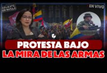 ¿Francotiradores en el Congreso en plena movilización? ¿Francotiradores en el Congreso en plena movilización?
