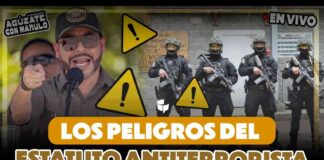 El estatuto antiterrorista de Abelardo es inconstitucional: Diana Otavo